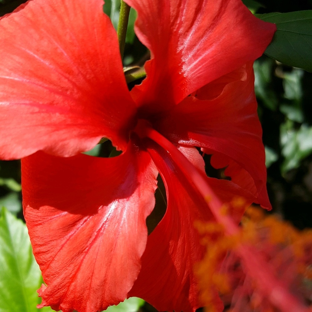 Meet your Posher, Kecia